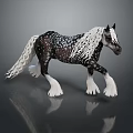 Black And White Horse With Long White Mane And Tail White Hooves Walking With Reflection