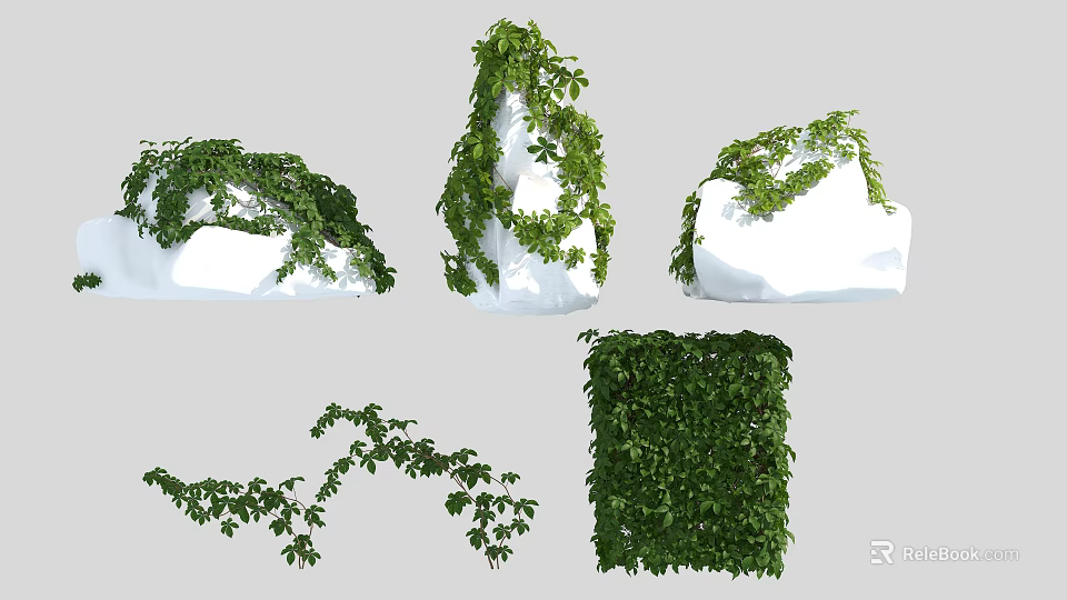 Green Decorative Vines In Various Forms With Branches Covering White Objects And Cubes 3d model 