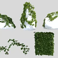 Green Decorative Vines In Various Forms With Branches Covering White Objects And Cubes