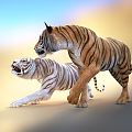 Modern Tiger White Tiger 3d model