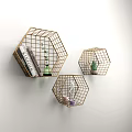 Stylish Modern Wall Cabinets In Geometric Shapes With Green Plants And Books