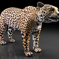 Realistic Reptile 3D Model With Leopard Pattern On Dark Reflective Surface
