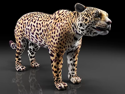 jaguar tiger animal 3d model