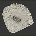 Natural Wood Piece On Textured Stone Base For Home Decor Accent