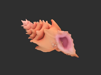 Detailed Orange Spiral Conch Shell With Pink Interior On Black Background 3d model