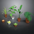 Various Potted Plants With Green Leaves And Decorative Pots For Home Decor