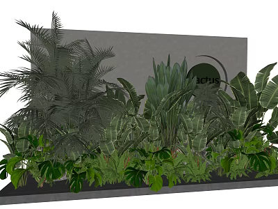 Lush Green Tropical Plants with Diverse Foliage in Modern Garden 3d model