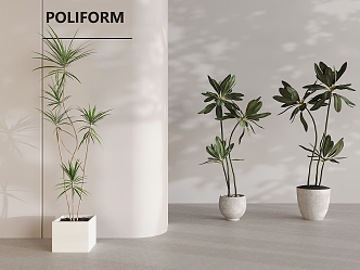 green plant potted plant combined ceramic pot plant green plant 3d model