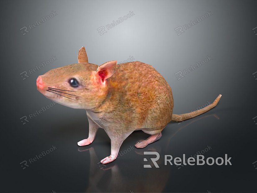 Cartoon Mouse Anime Mouse Anime Mouse Cartoon Character Cartoon Animal Cartoon Small Animal Game Character model