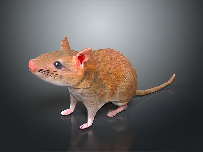 Cartoon Mouse Anime Mouse Anime Mouse Cartoon Character Cartoon Animal Cartoon Small Animal Game Character model