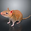 Game Movie Character Mouse With Brown Fur Pink Ears And Pink Nose Standing On Dark Background
