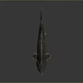 Realistic 3D Rendered Sturgeon Model With Detailed Scales And Long Snout