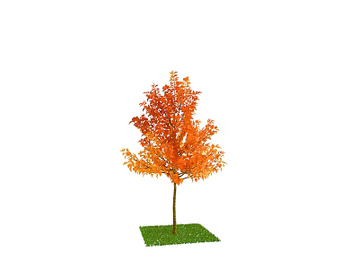 Ornamental Arbor with Vibrant Orange Red Foliage on Green Grassy Area 3d model