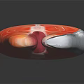 Fresh Salmon Fillet Cross Section Showing Detailed Inner Texture And Pink Color