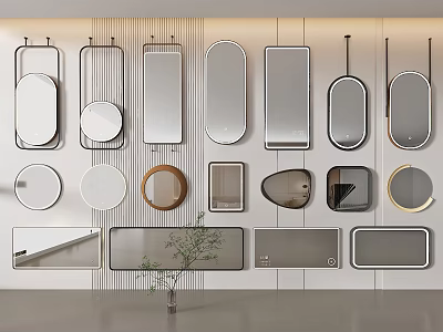 Various Shapes of Modern Mirrors on Wall with Decorative Plant in Room 3d model