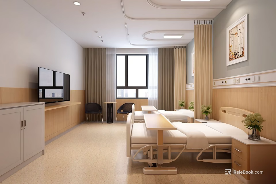 Modern Hospital Ward Interior With Two Beds TV Curtains Desk Chairs Green Plants And Art 3d model 