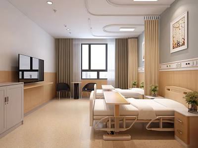Modern Hospital Ward Interior With Two Beds TV Curtains Desk Chairs Green Plants And Art 3d model