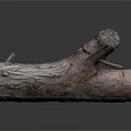 Natural Wood Log With Rough Surface Cross Section And Natural Texture On Smooth Reflective Surface 3d model