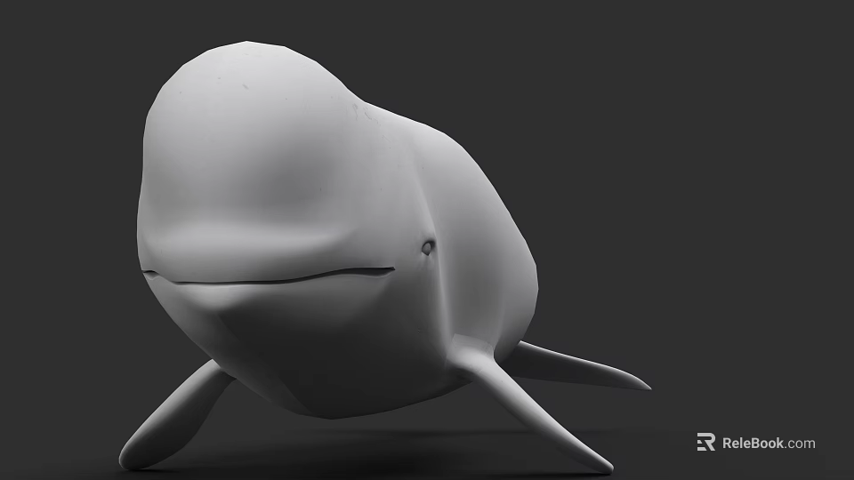 White Beluga Whale Marine Animal With Rounded Body And Flippers In Underwater Scene 3d model 