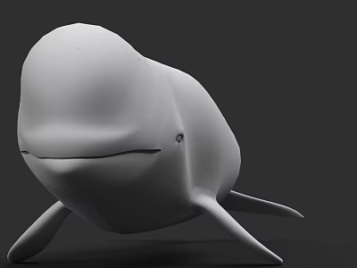 White Beluga Whale Marine Animal With Rounded Body And Flippers In Underwater Scene 3d model