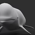 White Beluga Whale Marine Animal With Rounded Body And Flippers In Underwater Scene
