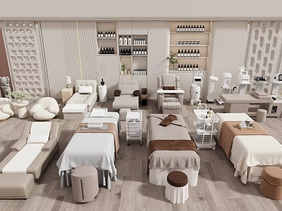 Foot Massage Therapy Salon Interior With Comfortable Professional Massage Beds Setup 3d model