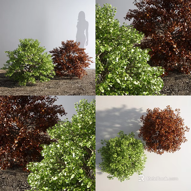 Green and Brown Bushes with Diverse Foliage Shapes in Garden 3d model 