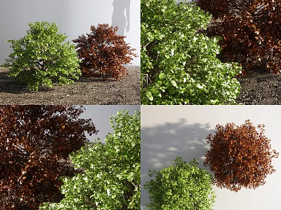 Green and Brown Bushes with Diverse Foliage Shapes in Garden 3d model