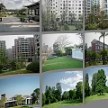 Serene Residential Community With High Rise Buildings Green Lawns And Trees