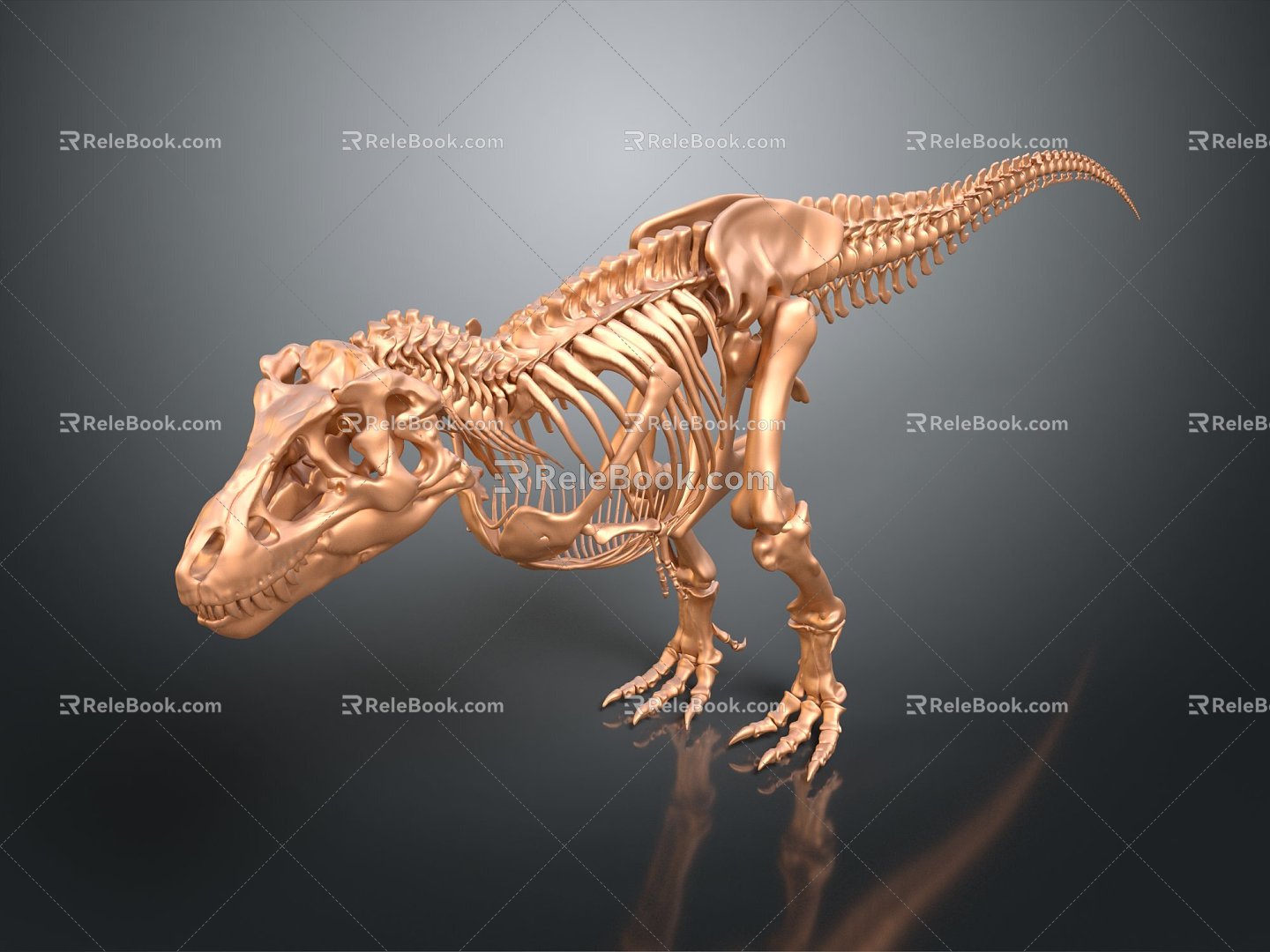 Modern Skeleton Animal Skeleton Skeleton Animal Skeleton 3d model