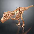 Golden Skeleton Model As Medical Device For Anatomical Education And Training Purposes