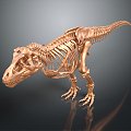 Modern Skeleton Animal Skeleton Skeleton Animal Skeleton 3d model