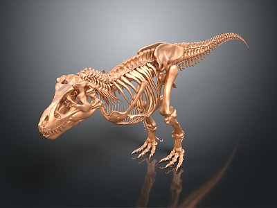 Modern Skeleton Animal Skeleton Animal Skeleton 3d model