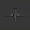 Grey Feathered Bird with Yellow Beak and Spread Wings Standing on Smooth Surface Grey Background