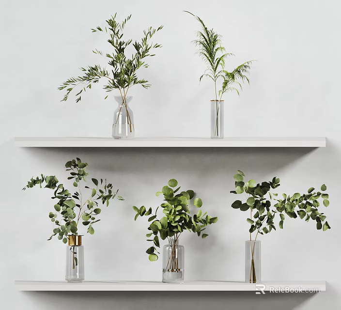 Transparent Glass Vases With Various Green Plants On White Shelves 3d model 