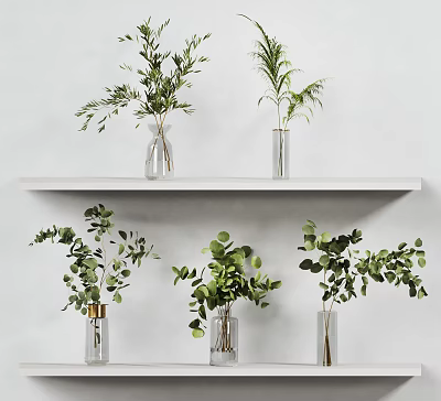 Transparent Glass Vases With Various Green Plants On White Shelves 3d model