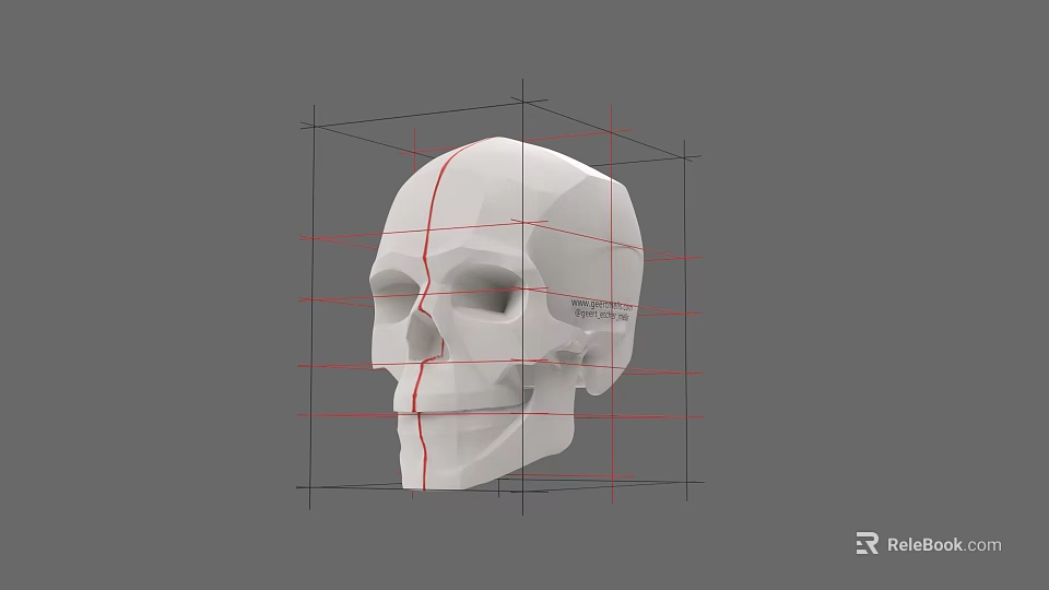 White Human Skull with Red Grid Lines for 3D Modeling and Anatomical Study 3d model 