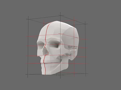 White Human Skull with Red Grid Lines for 3D Modeling and Anatomical Study 3d model
