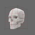 White Human Skull with Red Grid Lines for 3D Modeling and Anatomical Study