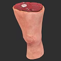 Man Anatomical Structure Display With Muscles Blood Vessels Bones And Joints