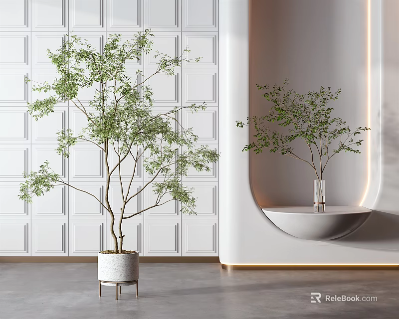 Potted Bonsai Plants in White Pots on Leg Stand and Curved Shelf with White Wall 3d model 