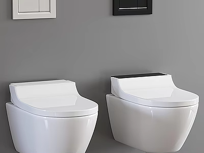 Two White Toilets Placed Against Gray Wall With White Cabinet And Black Framed Item 3d model