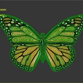 Monarch Butterfly With Orange And Black Wings And White Spots On Gray Background