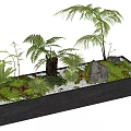Black Rectangular Bonsai Pot With Various Ferns Palm Like Plants Moss Stones And Pebbles