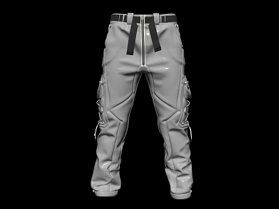 Gray Cargo Pants Featuring Belted Multi Pocket And Lace Up Design 3d model