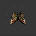 Vibrant Butterfly With Orange And Black Wings Featuring Detailed White Spots And Spread Wings