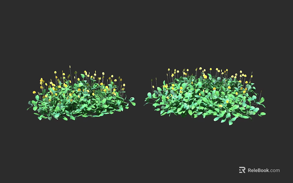 Healthy Green Crops With Vibrant Yellow Flowers Growing In Fresh Environment 3d model 