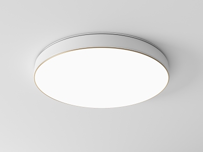 Modern Ceiling Lamp Metal Ceiling Lamp model