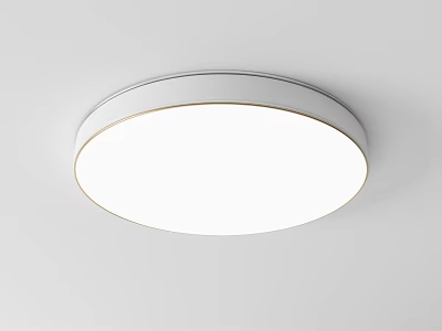 Modern Ceiling Lamp Metal Ceiling Lamp 3d model