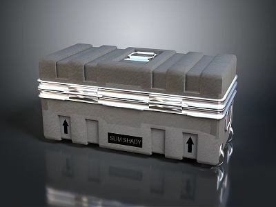 Gray Equipment Case With Silver Trim Safe Shield Label And Upward Arrows 3d model